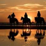 Gallery Thumbnail 5