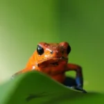 Gallery Thumbnail 4